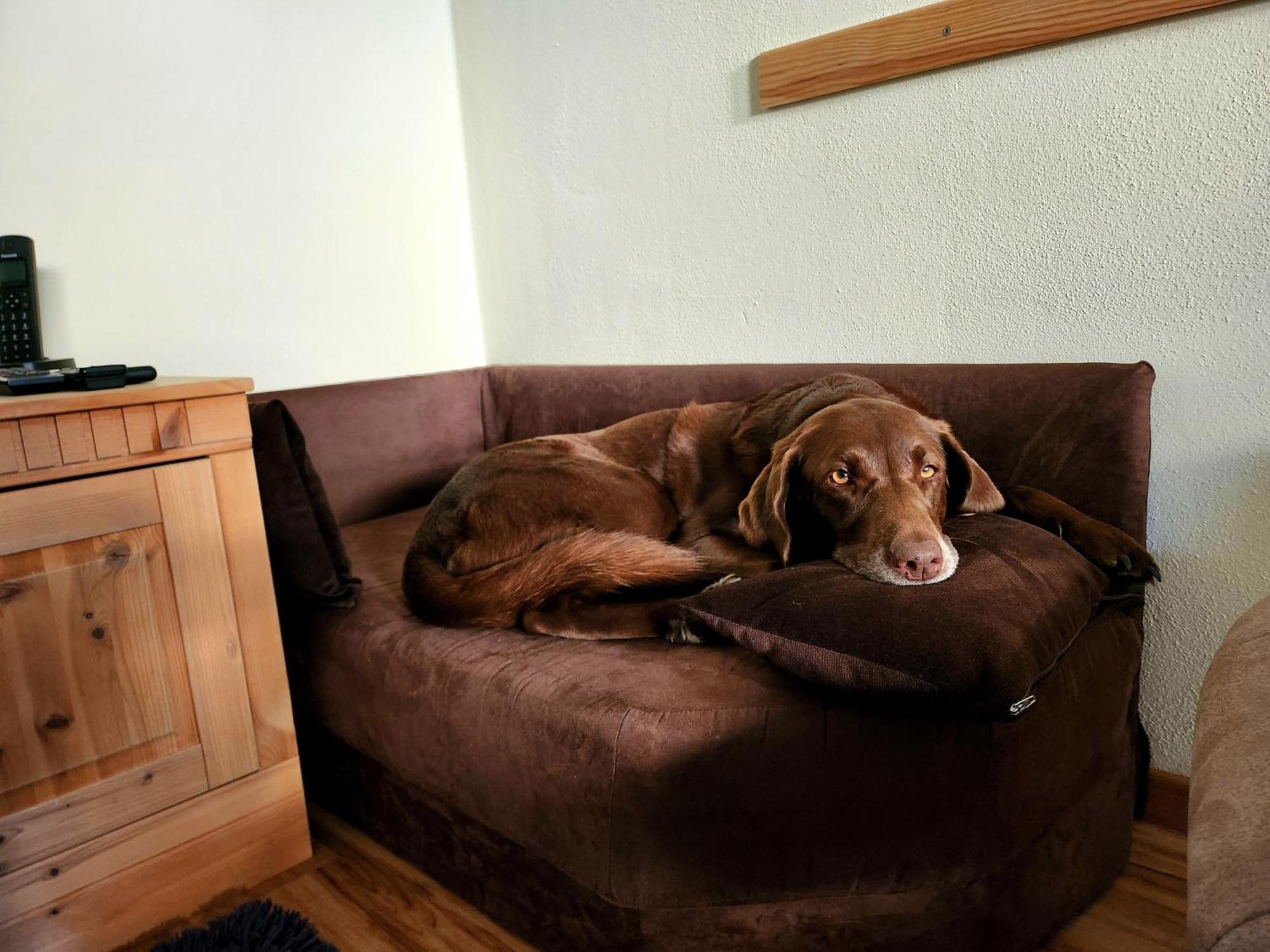 Ferienwohnung Baer Фоенштраус Екстер'єр фото